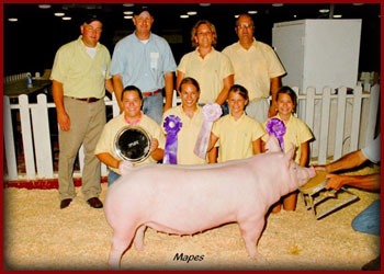 $42,000-2010-Fall-Classic-Champion-Spotted-Boar