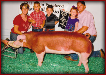 4th-overall-hereford-gilt-team-purbred-national-jr-show-2011
