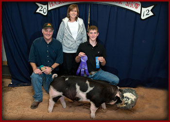 2012 Champion Spotted Market Hog Hockley County Show